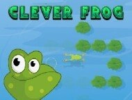 Clever Frog