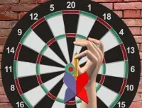 Darts 501 And More